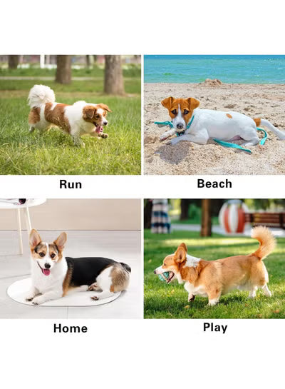 Winmany Dog Cooling Vest Summer T-Shirt Puppy Sleeveless Tank Top Pet Quick