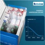 Brevino Portable Mini Car Fridge (12V/220V Dual Power) - M&M