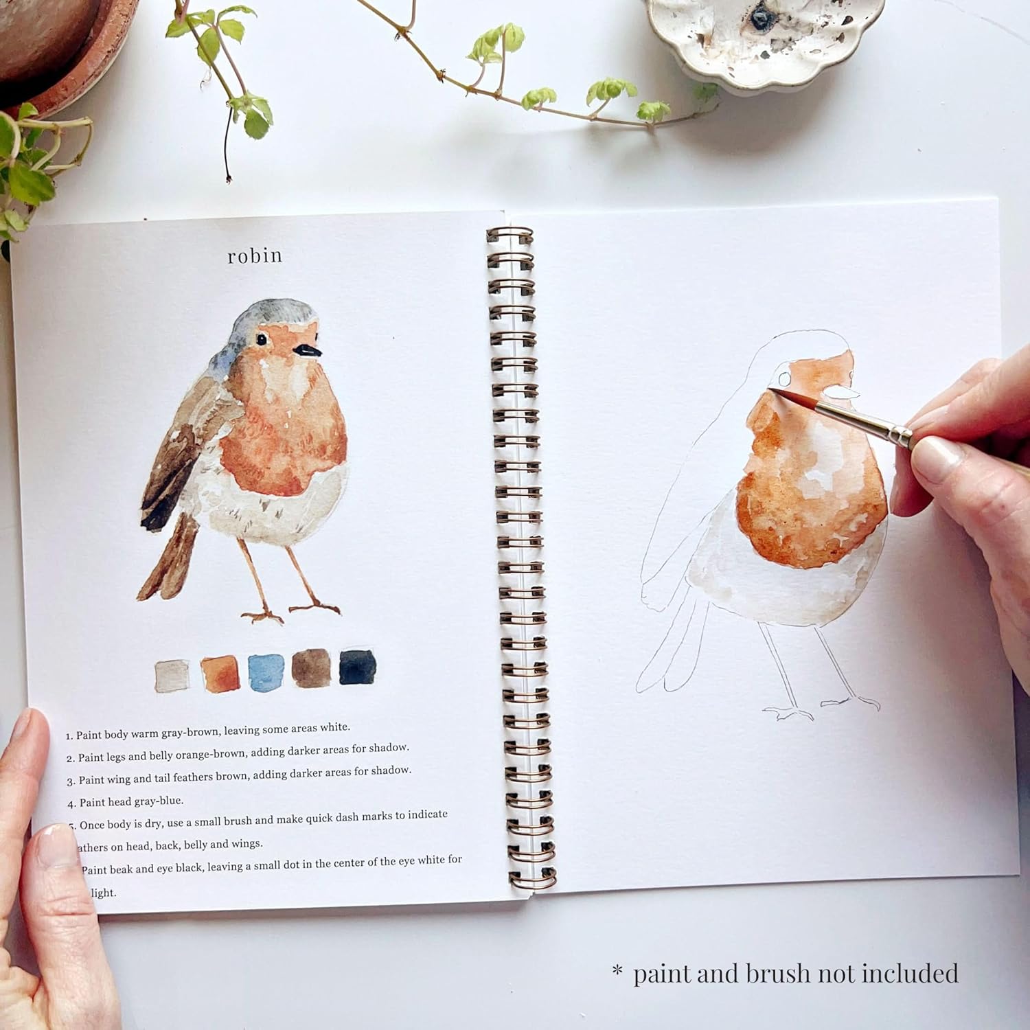 Birds Watercolor Workbook by Emily Lex Studio - M&M