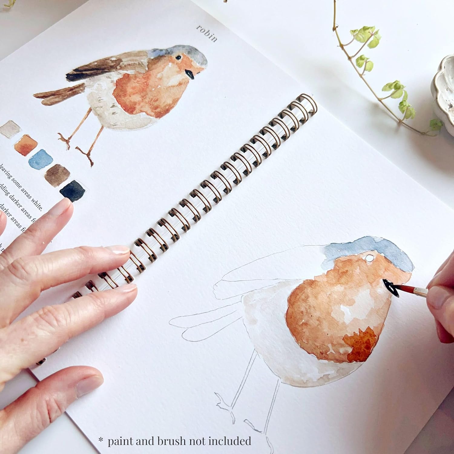 Birds Watercolor Workbook by Emily Lex Studio - M&M