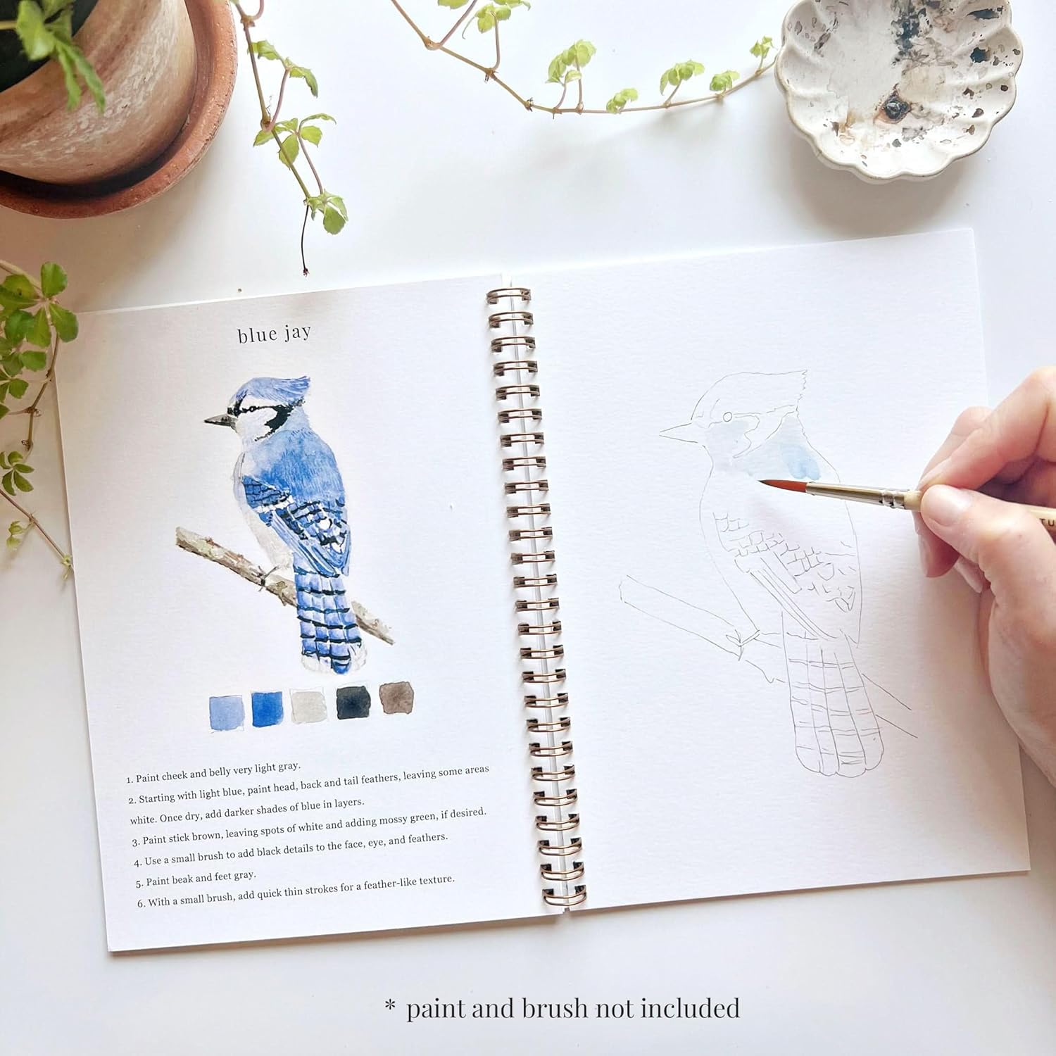 Birds Watercolor Workbook by Emily Lex Studio - M&M