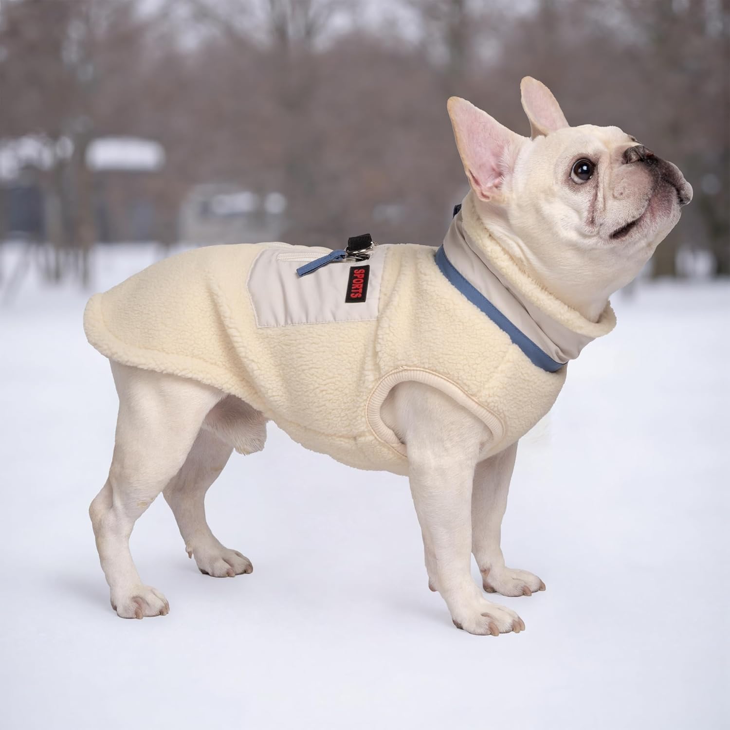 Warm Dog Coat for Winter, Windproof Puppy Jacket with Soft Fleece Lining and - M&M