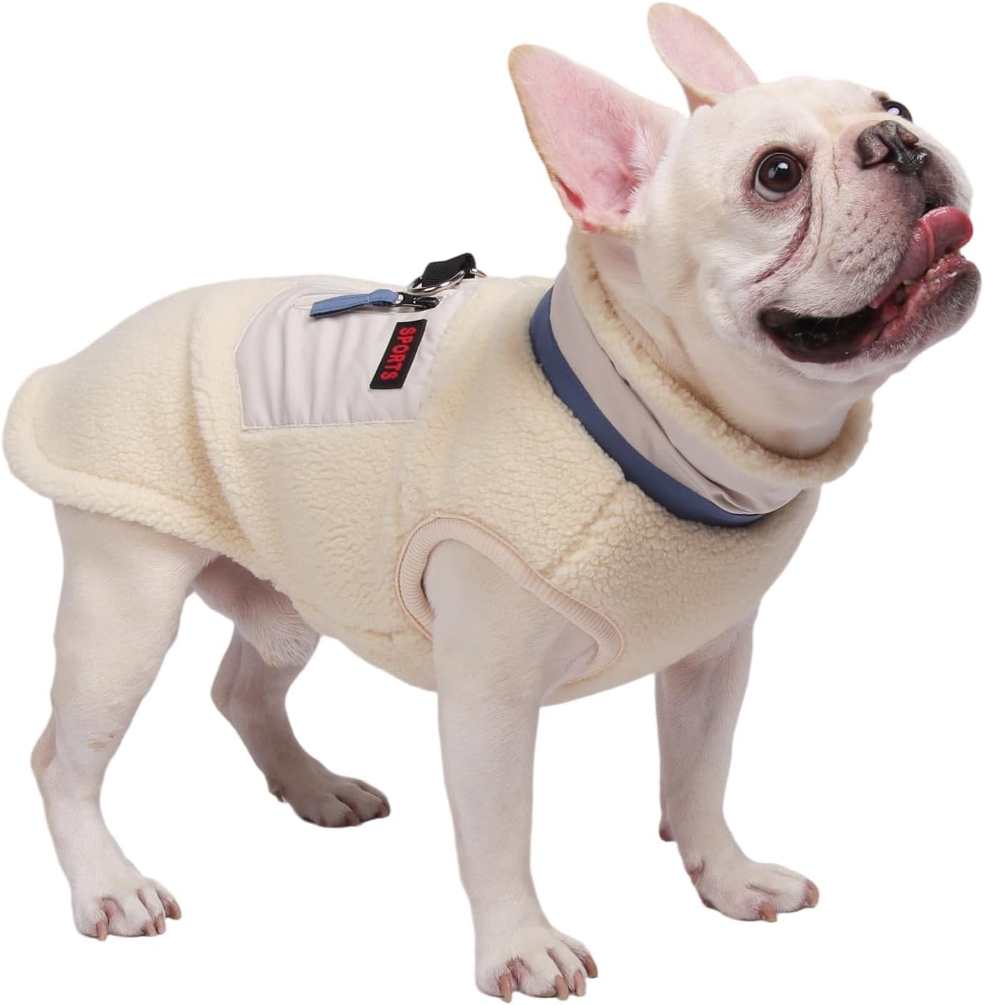 Warm Dog Coat for Winter, Windproof Puppy Jacket with Soft Fleece Lining and - M&M