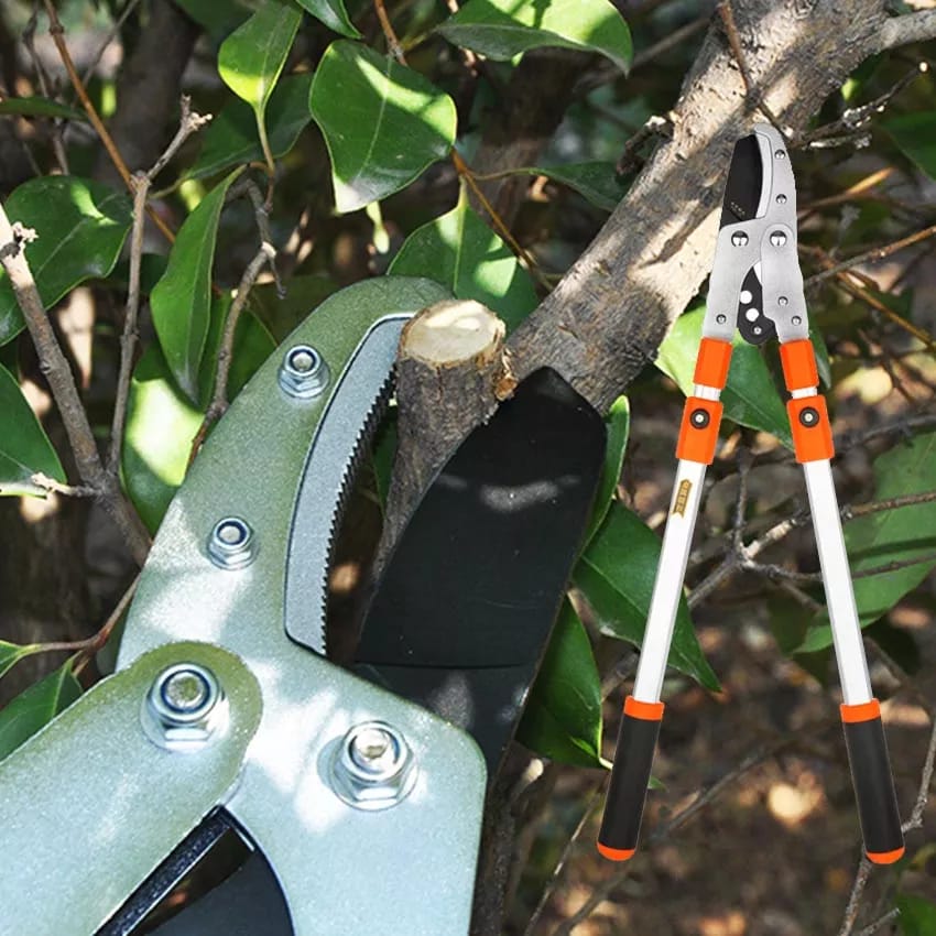 Heavy Duty Retractable Tree Lopper & Branch Pruning Shears Set – 50MM Cutting Capacity - M&M