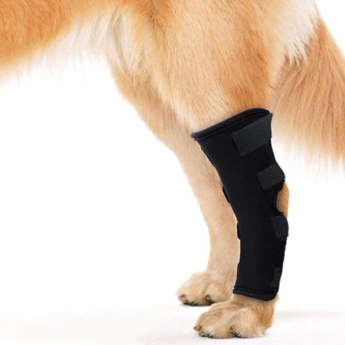 Dog Leg Braces for Back Leg Canine Rear Leg Hock Joint Wrap Protects for - M&M