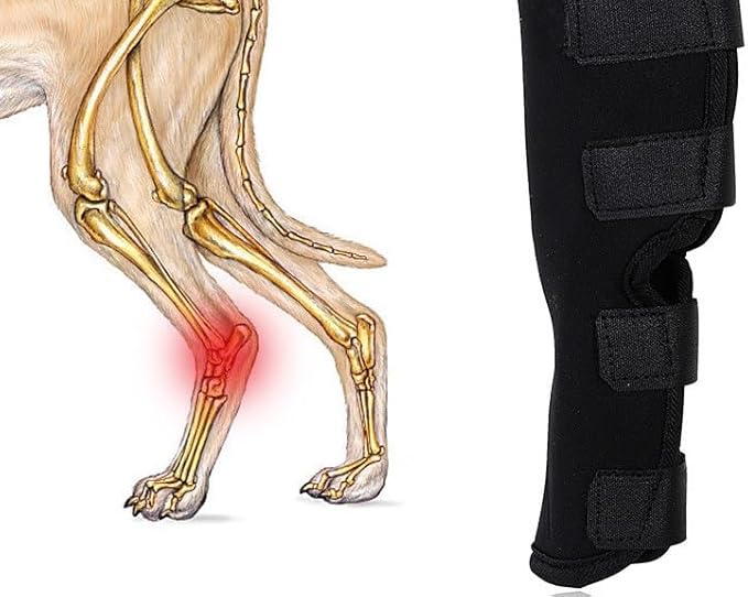 Dog Leg Braces for Back Leg Canine Rear Leg Hock Joint Wrap Protects for - M&M