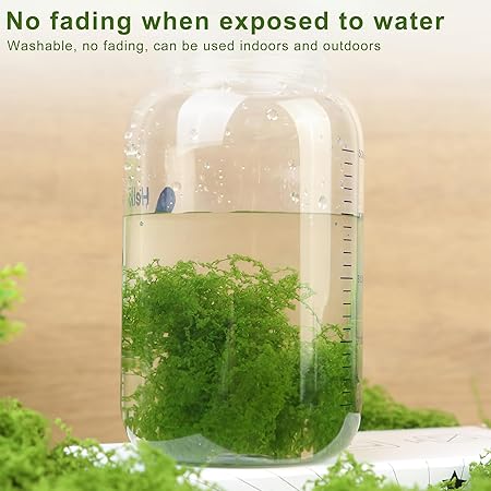 Preserved Artificial Moss, 100g, Odourless Colourfast Green Moss for Potted - M&M
