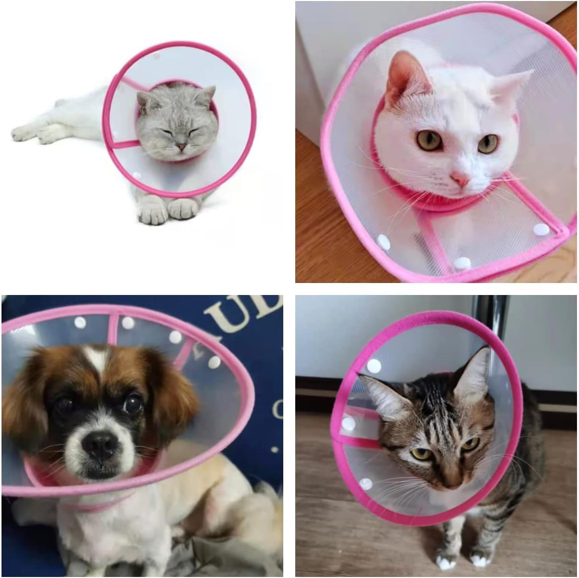 Small Dog Cone for Dogs After Surgery - M&M