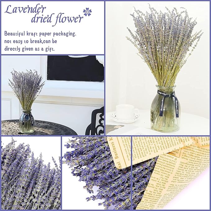 Dried Lavender Flowers Bundles 100% Natural Real Dry Flower for Home Decorations - M&M