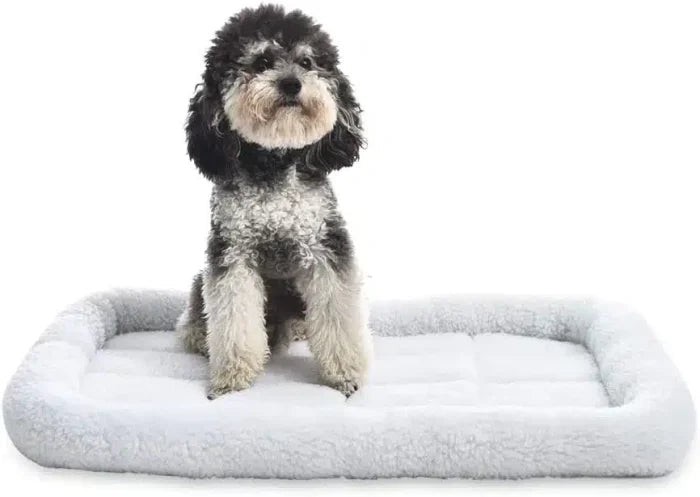 Amazon Basics 29 - Inch Padded Pet Bolster Bed for Dog, White, 29.13″L x 18.9″W x 2.76″H - M&M