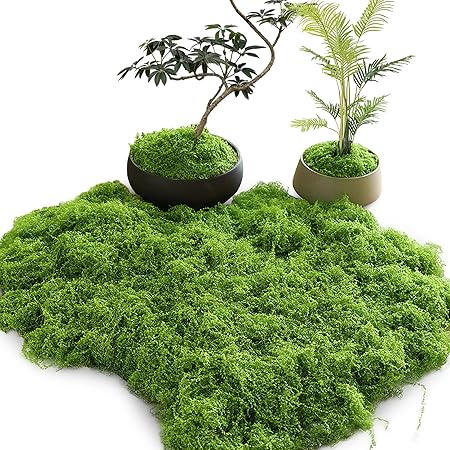 Preserved Artificial Moss, 100g, Odourless Colourfast Green Moss for Potted - M&M
