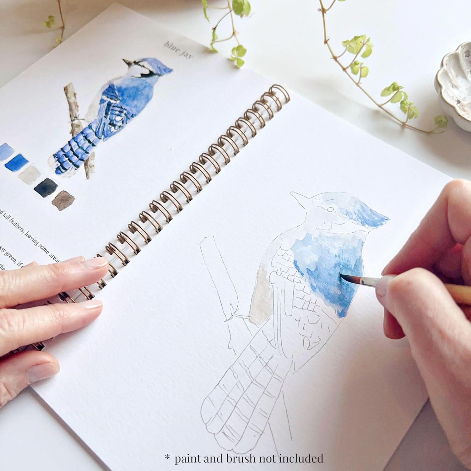 Birds Watercolor Workbook by Emily Lex Studio - M&M