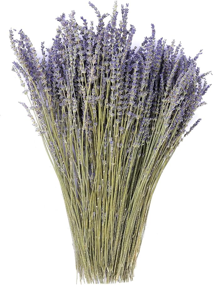 Dried Lavender Flowers Bundles 100% Natural Real Dry Flower for Home Decorations - M&M