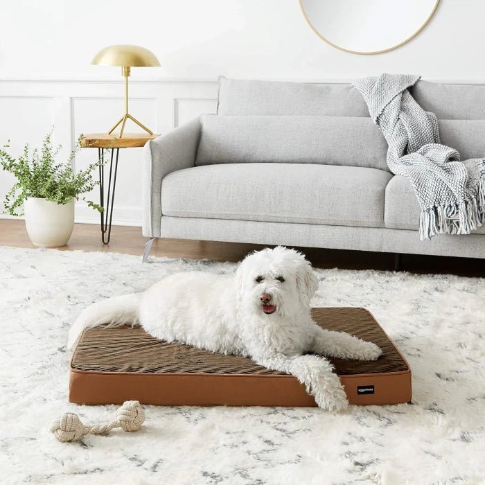 Amazon Basics Foam Pet Bed for Dog, Cat, Large, Brown/Brown, 36.0″L x 27.0″W x 3.0″Th - M&M