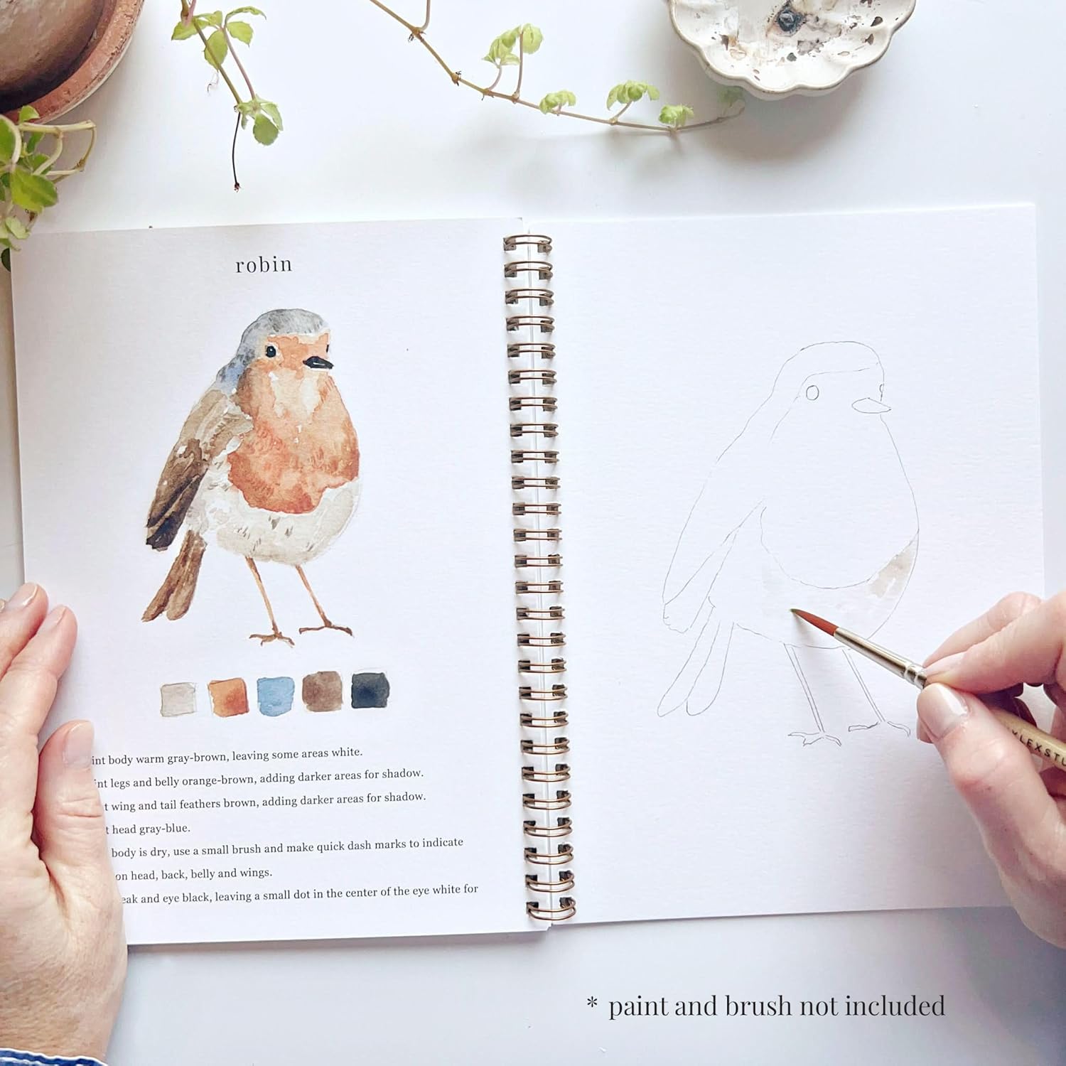 Birds Watercolor Workbook by Emily Lex Studio - M&M
