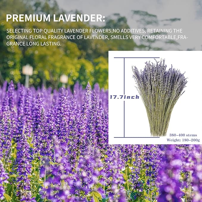 Dried Lavender Flowers Bundles 100% Natural Real Dry Flower for Home Decorations - M&M