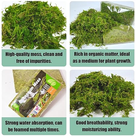 Sphagnum Moss for Plant | 150g Natural Moss Potting Mix | Nutrition Organic - M&M