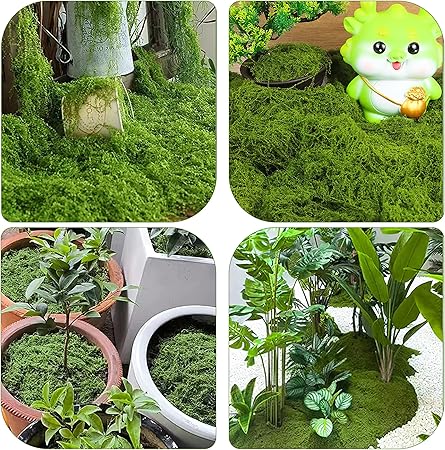 Preserved Artificial Moss, 100g, Odourless Colourfast Green Moss for Potted - M&M
