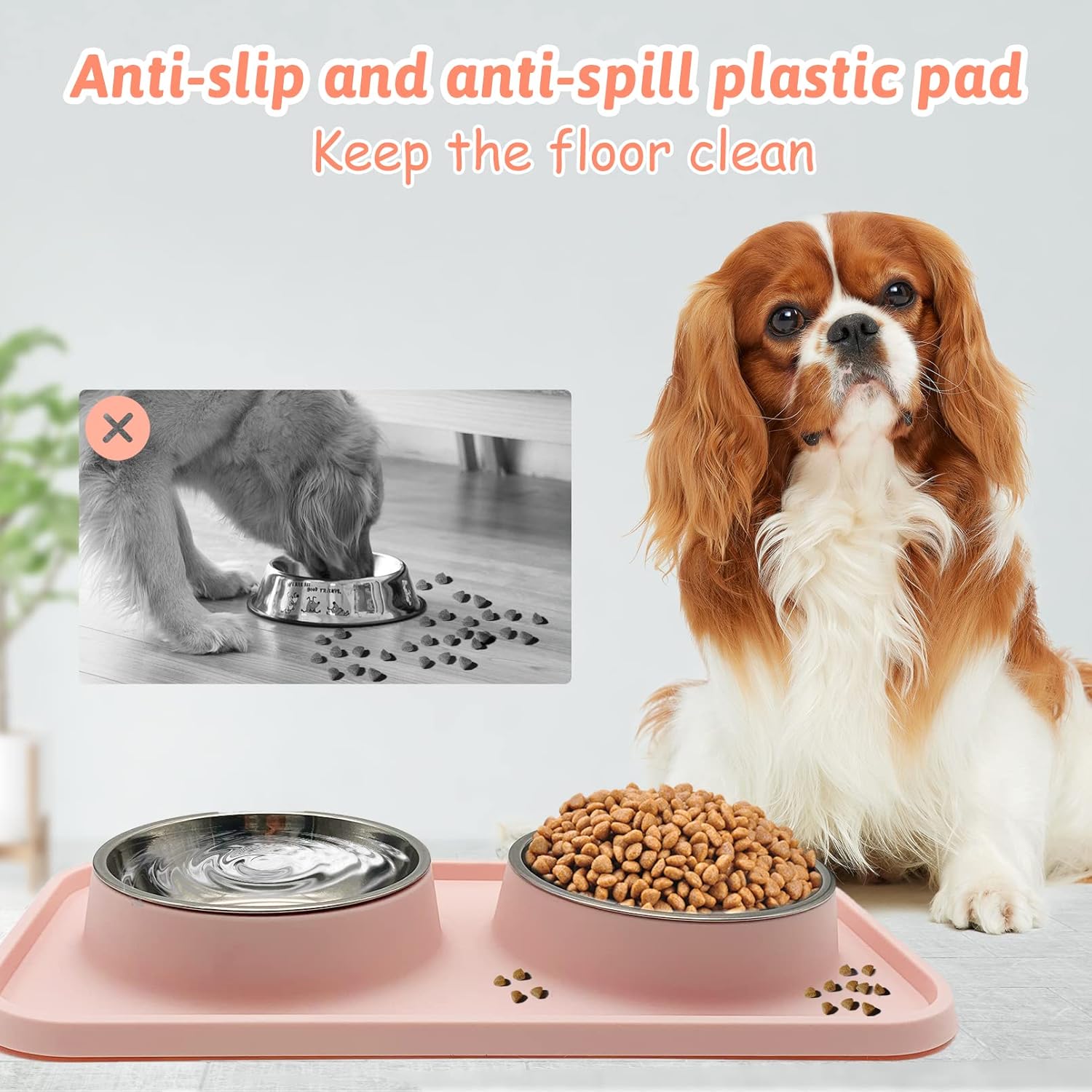 BNOSDM Double Dog Food Bowls Stainless Steel Dog Food and Water Bowls with - M&M