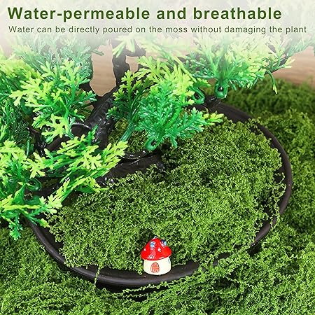 Preserved Artificial Moss, 100g, Odourless Colourfast Green Moss for Potted - M&M
