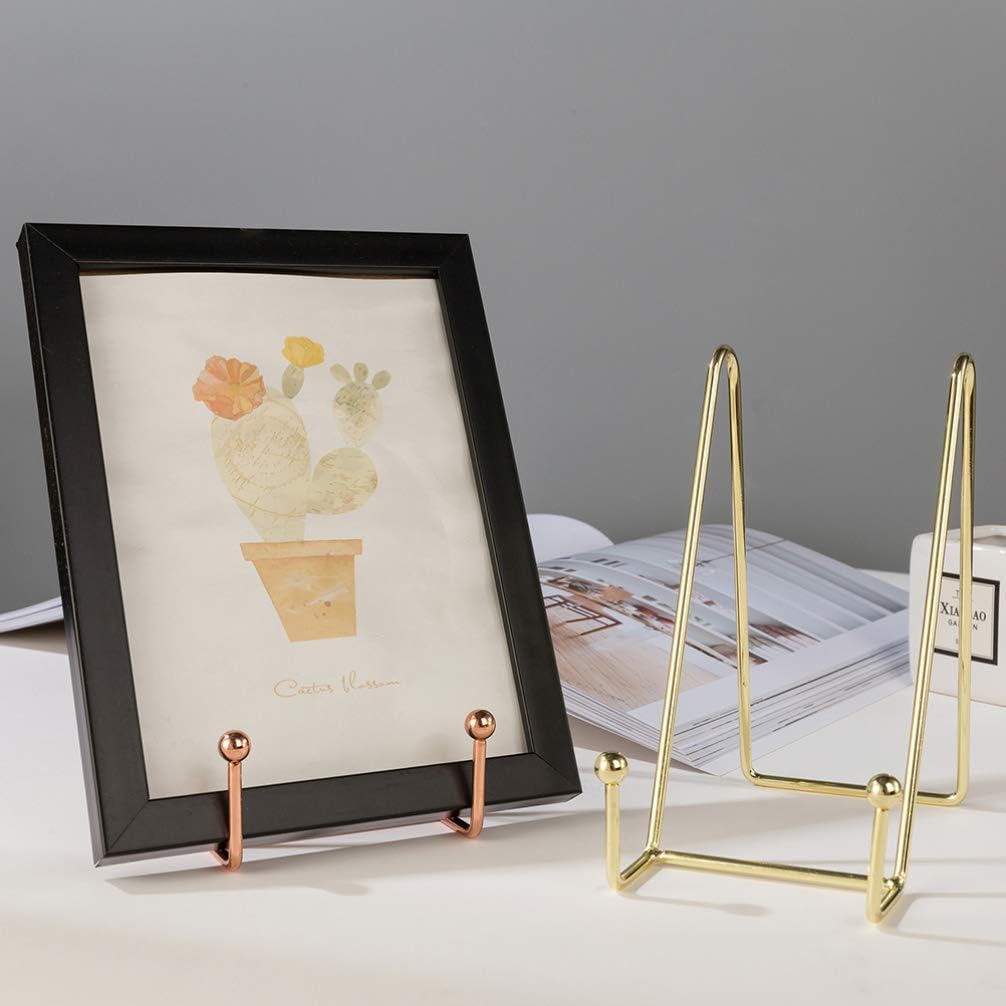 NUOBESTY 2 Pcs Book Display Rack Iron Art Display Stand Plate Dish Photo - M&M