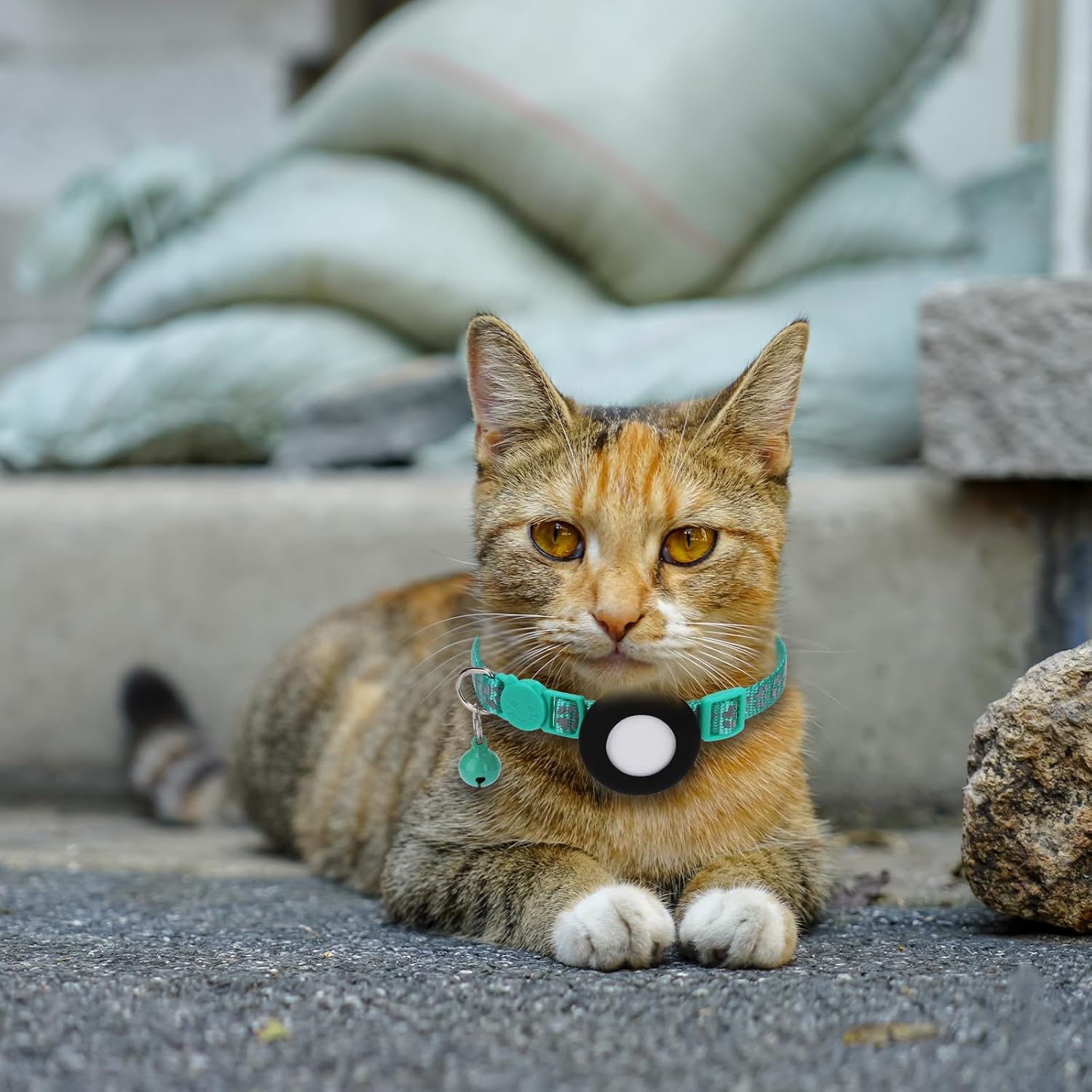 SimpleThings AirTag Cat Collar with Apple AirTag Holder - M&M
