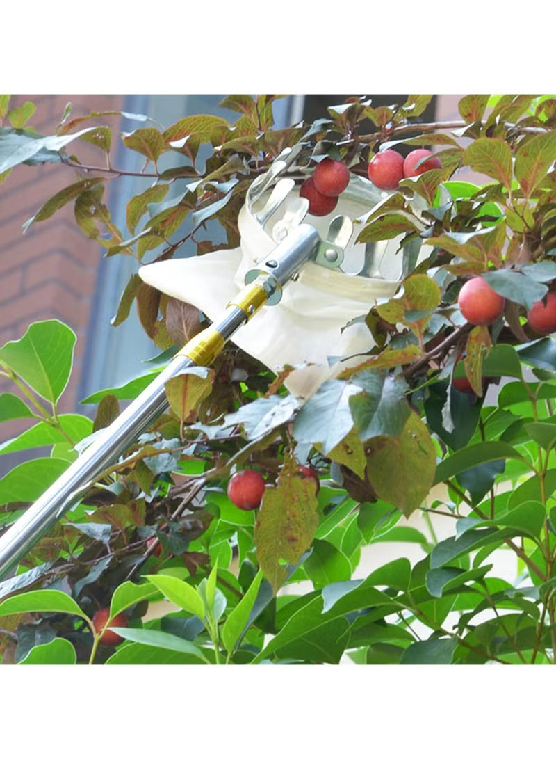 Fruit Picker Tool with Lightweight Stainless Steel Telescopic Pole and Case